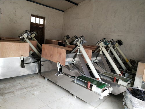 贛州正宗皮蛋機器變蛋制作有機器嗎性價比高 豫遠食品高清圖片 高清大圖