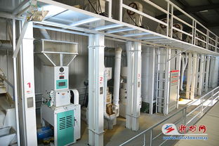 代縣雁門關鄉(xiāng)小雜糧加工廠建成投產(chǎn)